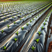 Cargar imagen en el visor de la galería, Acolchado Agrícola Plástico – Control de Malezas y Conservación de Humedad