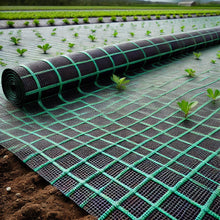 Cargar imagen en el visor de la galería, Ground Cover – Malla Antimaleza para Control y Protección del Suelo del Invernadero