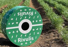 Cargar imagen en el visor de la galería, CINTILLA D900 RIVULIS