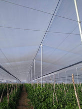 Cargar imagen en el visor de la galería, Malla Antiafidos – Protección Contra Insectos para Cultivos e Invernaderos