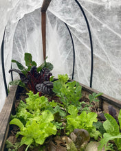 Cargar imagen en el visor de la galería, Manta Antiheladas Agrotermic – Protección Contra Frío para Cultivos
