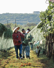 Cargar imagen en el visor de la galería, Malla Antigranizo de Alta Resistencia - Protección para Cultivos