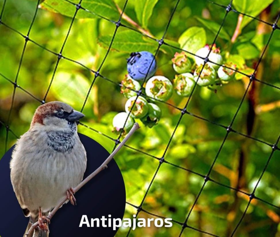 Malla Antipájaros de Cuadro – Protección para Cultivos y Frutales